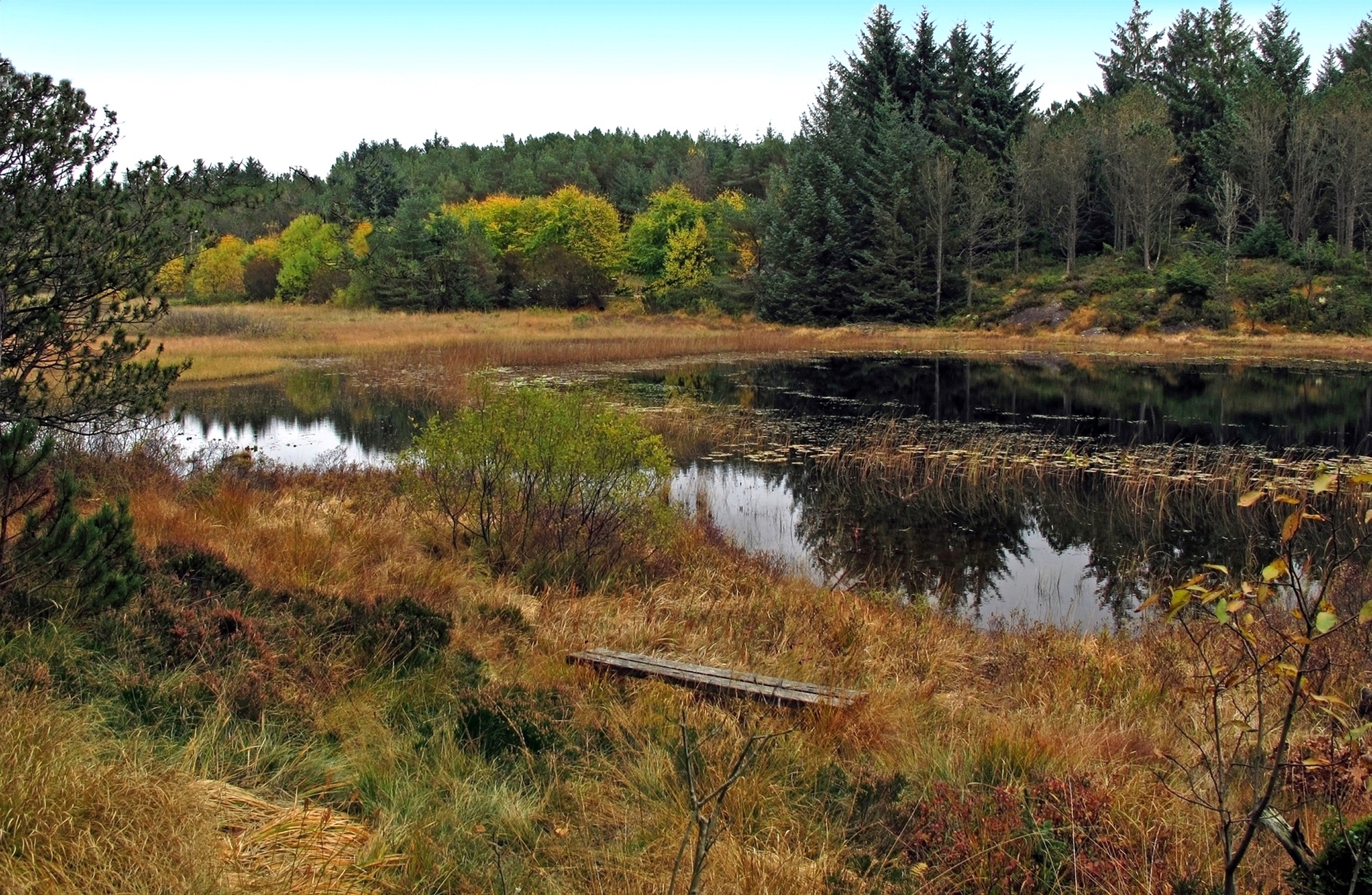 Liarlundsvannet en stille oktoberdag ...