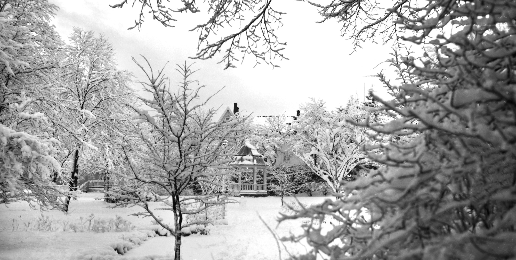 Parken i Kopervik Vinterstemning i parken ... Paviljongen midt i bildet ...