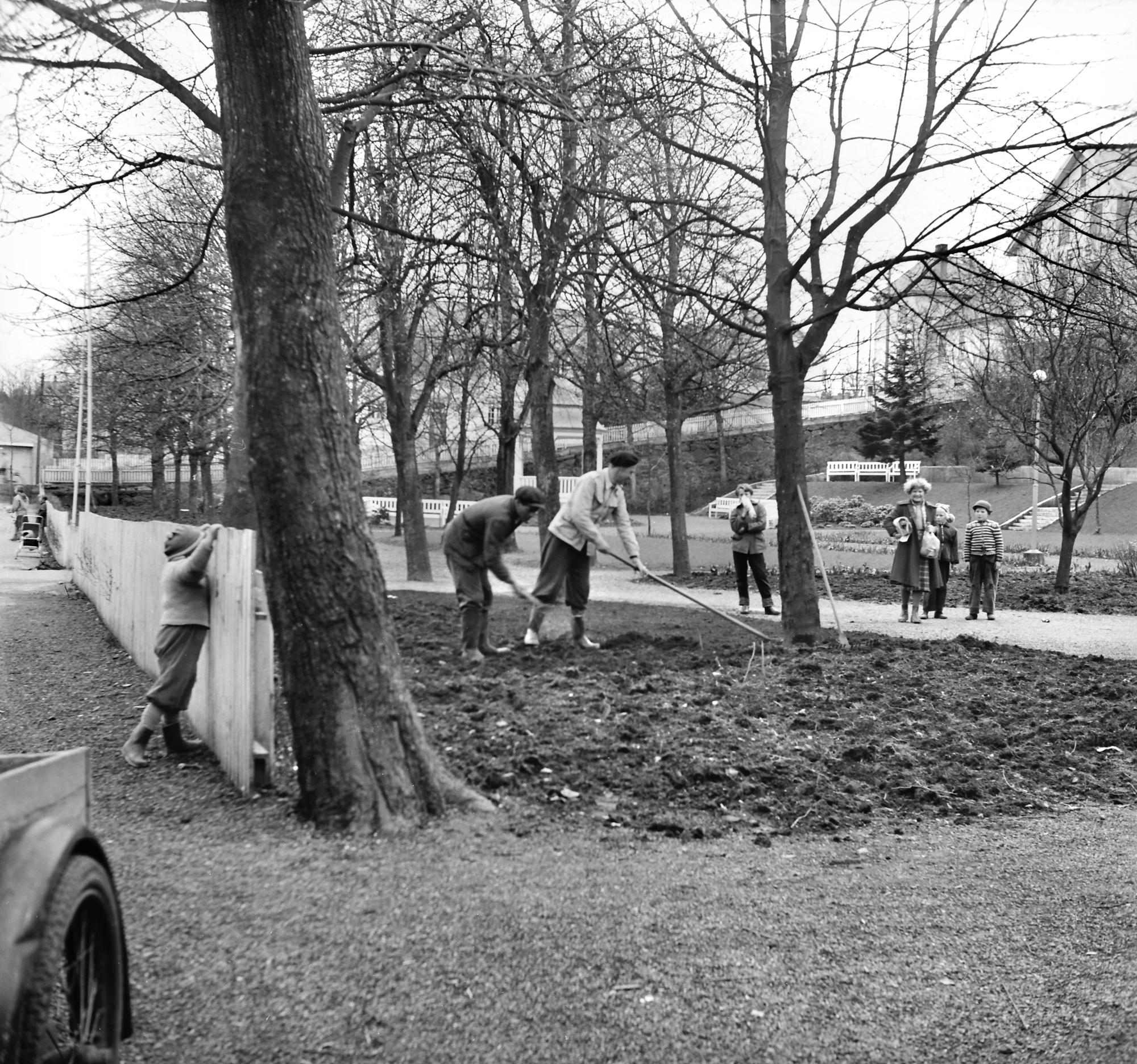 Parken i Kopervik Gartner Trond Tveit og hjelper utfører nødvendig vårarbeid ...  Fra venstre: ? og gartner Trond Tveit