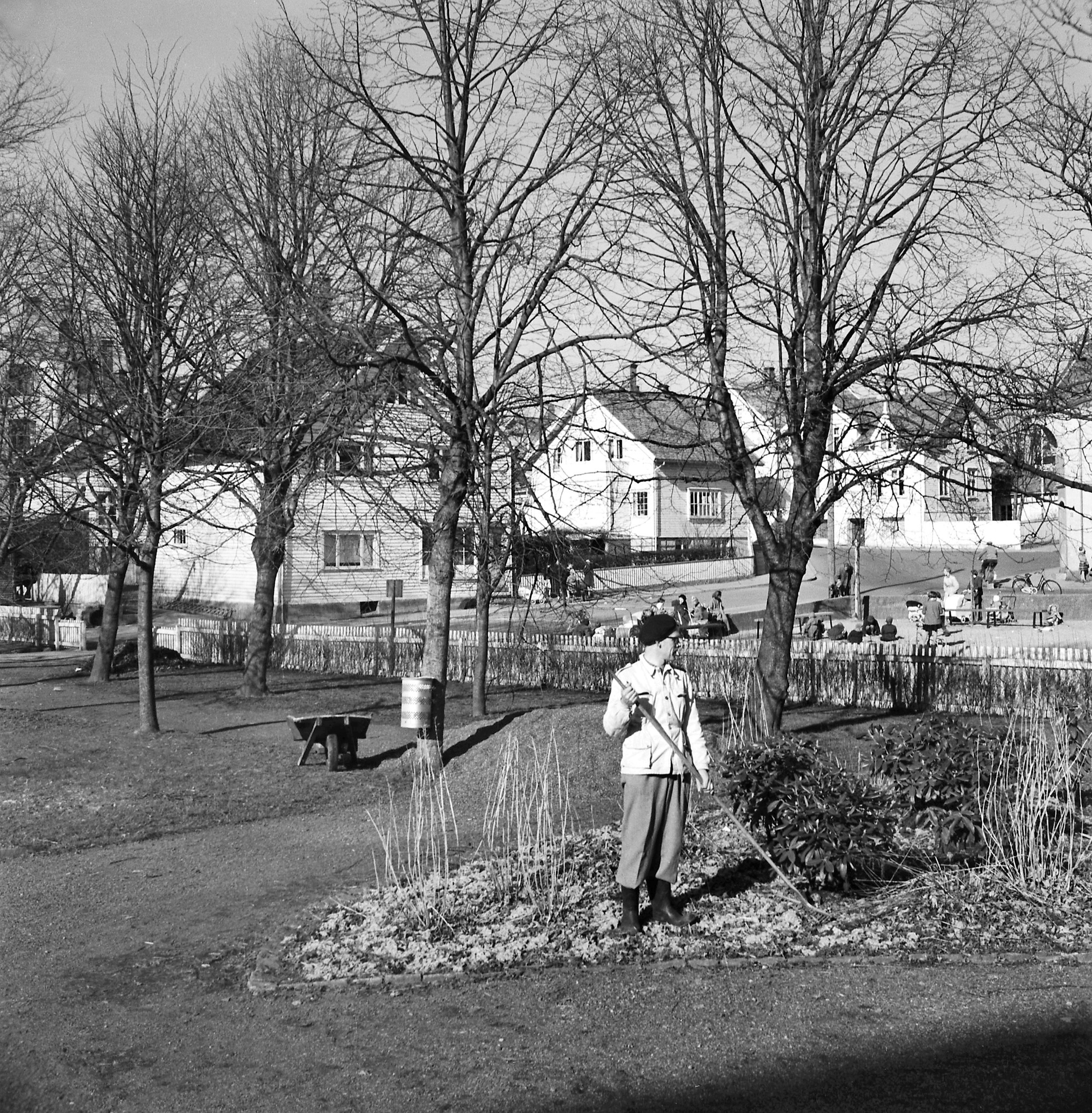 Gartner Trond Tveit i ferd med å gjøre parken i Kopervik klar for sommeren ... Legg merke til besøket i "Lekeparken" i bakgrunnen ...  Trond Tveit