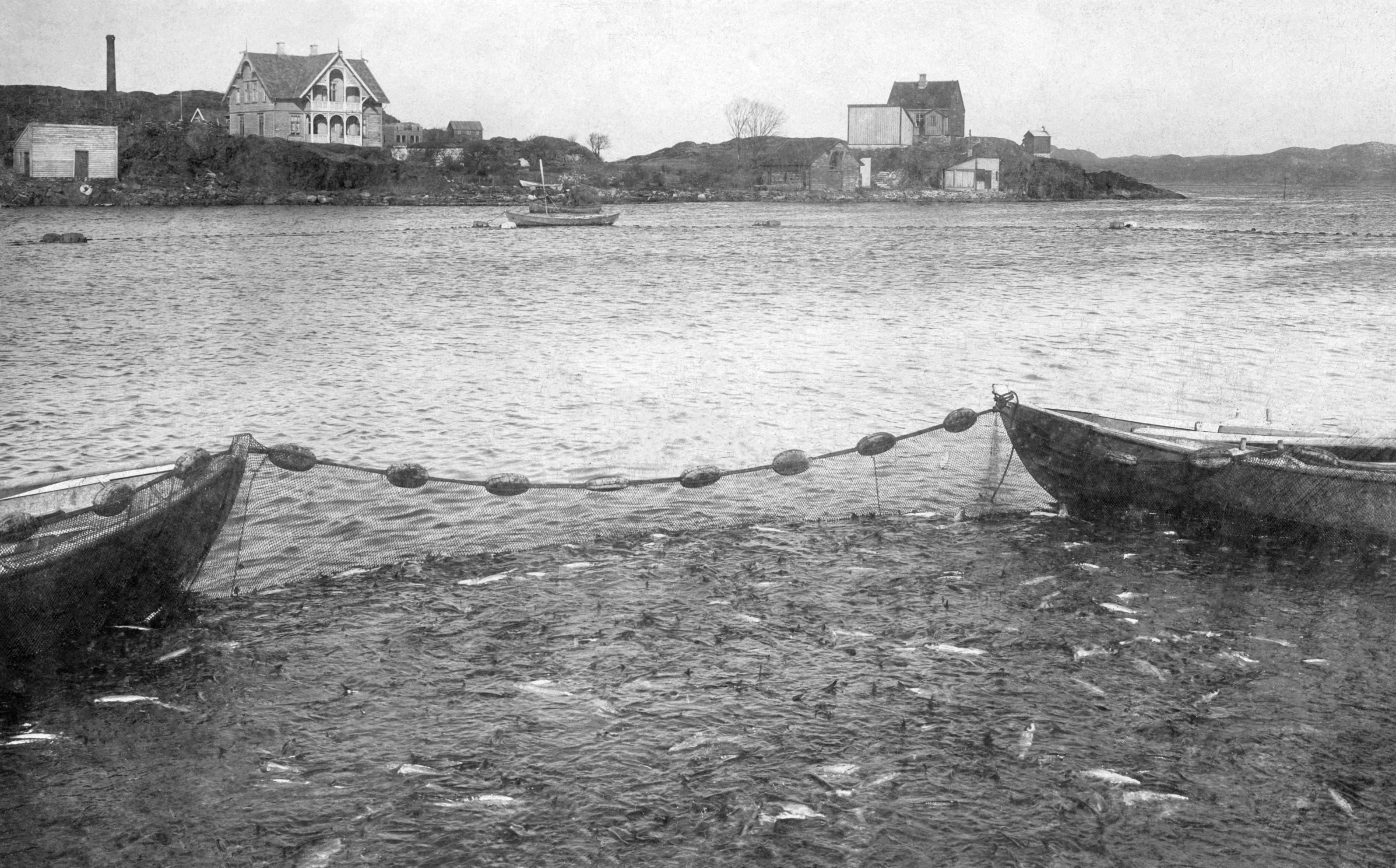Havner og kaier