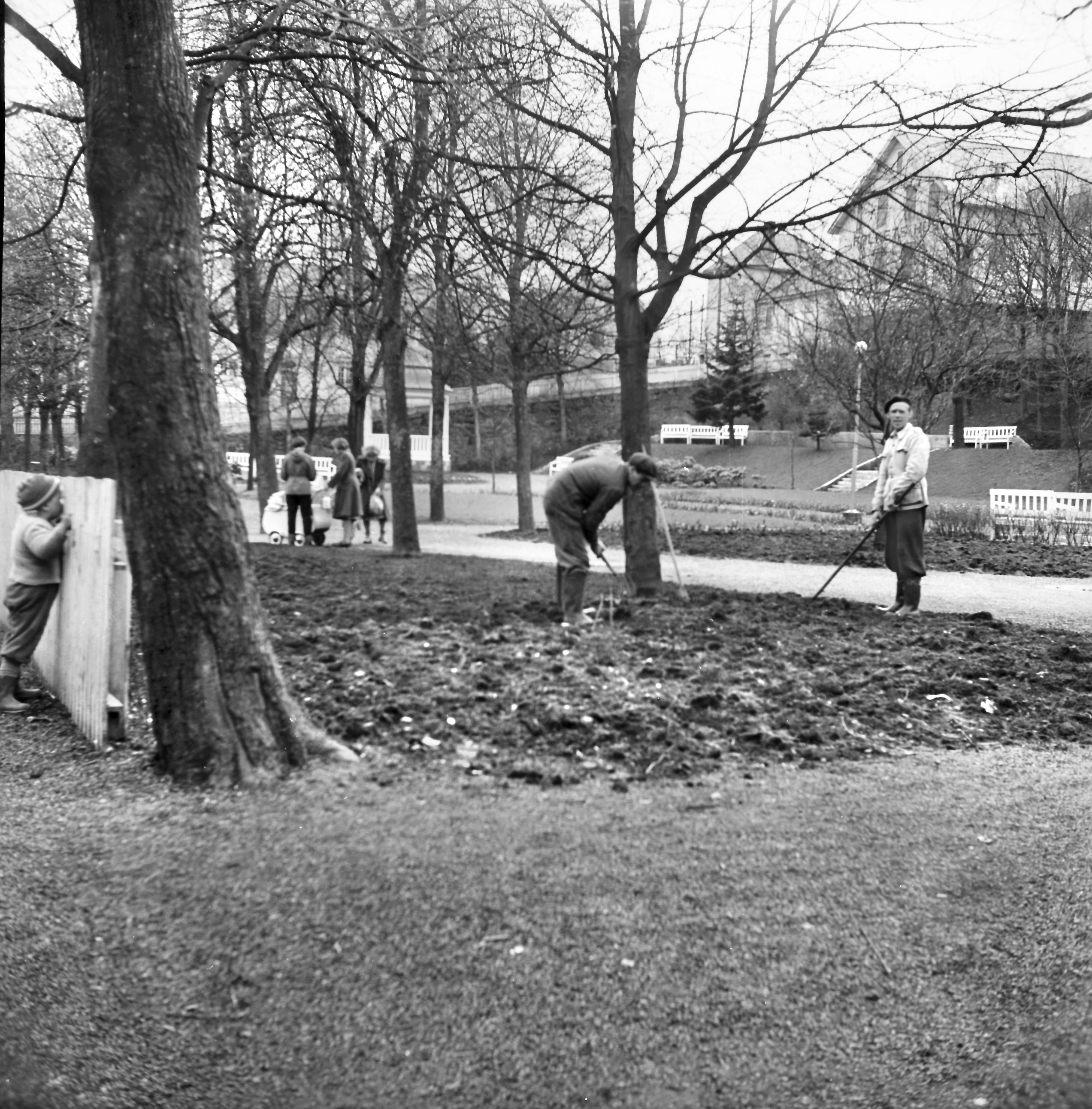 Parken i Kopervik Gartner Trond Tveit og hjelper utfører nødvendig vårarbeid ...  Fra venstre: ? og gartner Trond Tveit